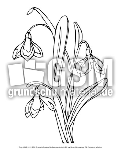 Ausmalbild-Schneeglöckchen-6.pdf